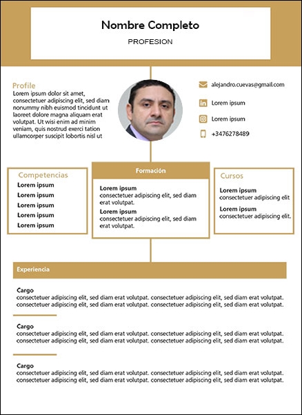 plantilla currículum auxiliar de seguridad